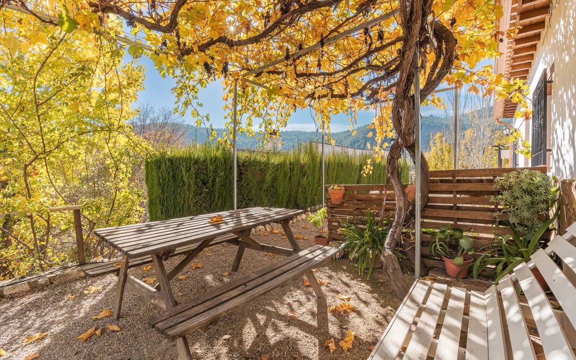 Castril Apartment | 50 m² Apartment ∙ 1 bedroom ∙ 3 guests