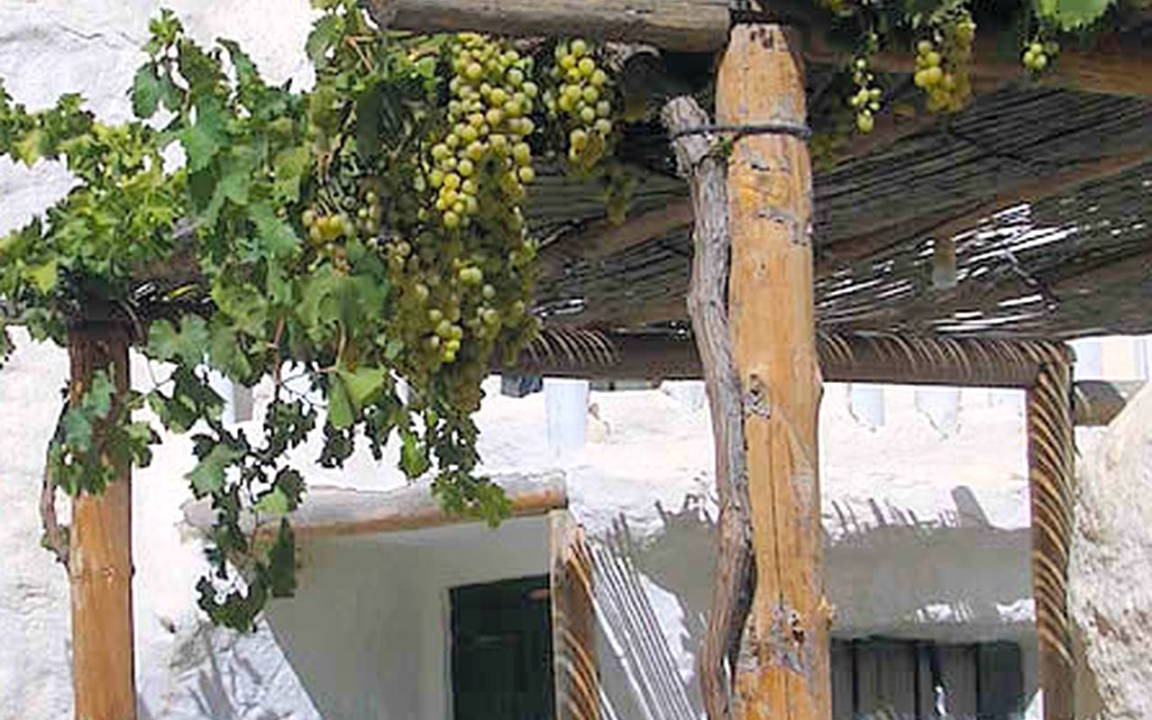 Baza Other | Accommodation ∙ 1 bedroom ∙ 11 guests
