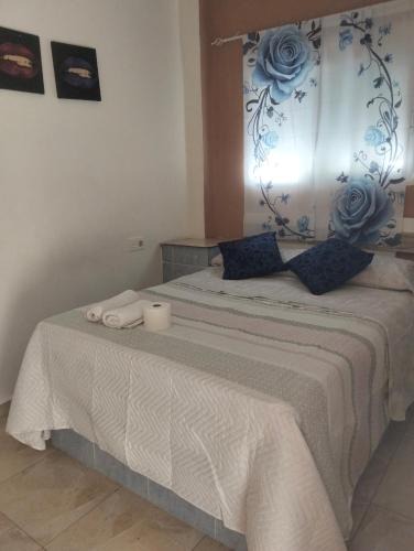 Zaidin House | Alojamiento Sheril Zaidín 1
