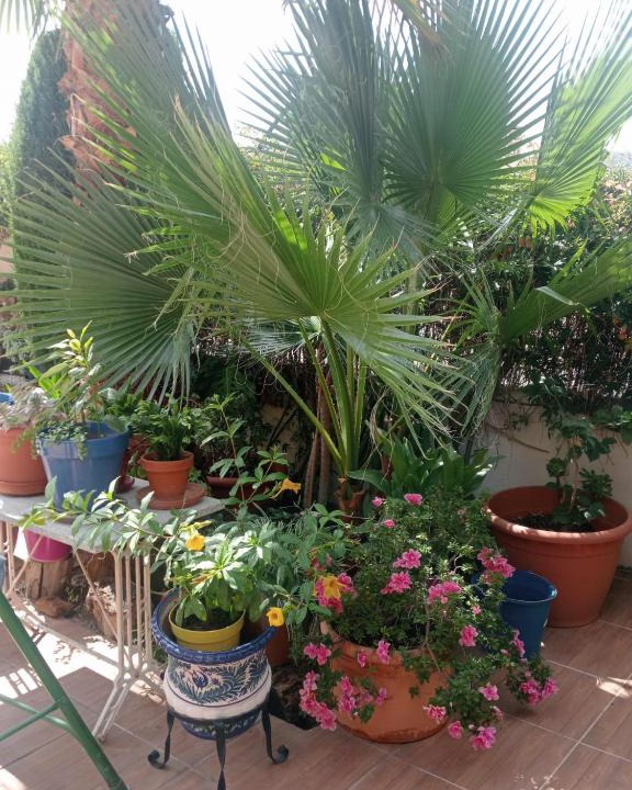 Cenes de la Vega Villa | Apartamento pico del veleta