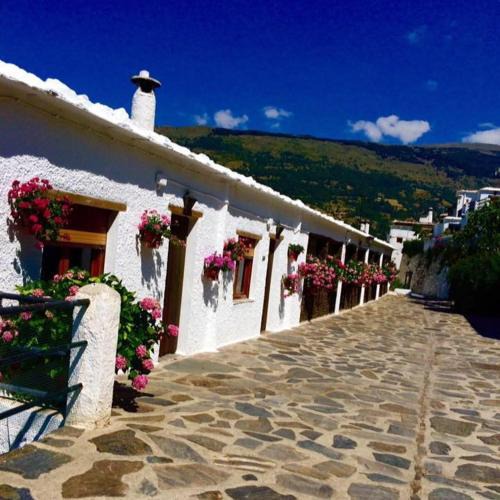 Bubion Apartment | Apartamentos Turísticos Rural Los Tinaos