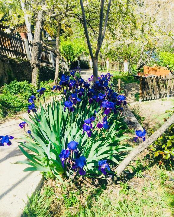 Laroles House | Barranco de la Salud