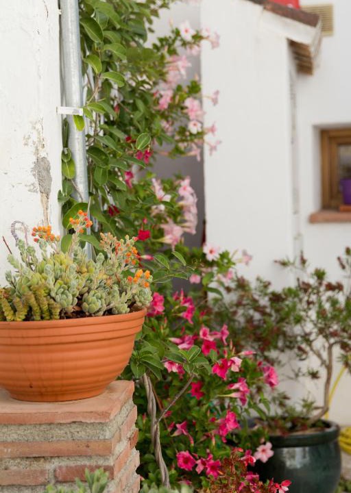 Lentegi House | Casa Alegria