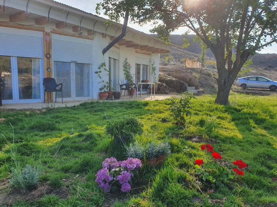 Alcudia de Guadix Apartment | Casa-cueva ecologia arte jardín y hamman