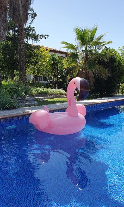 Monachil House | Casa Los Flamencos