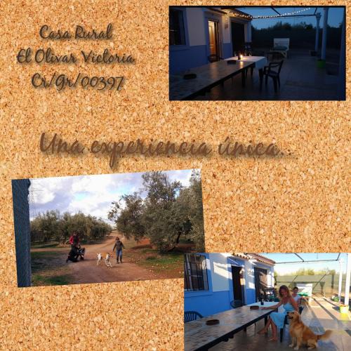Cuevas del Campo House | Casa Rural El Olivar Victoria