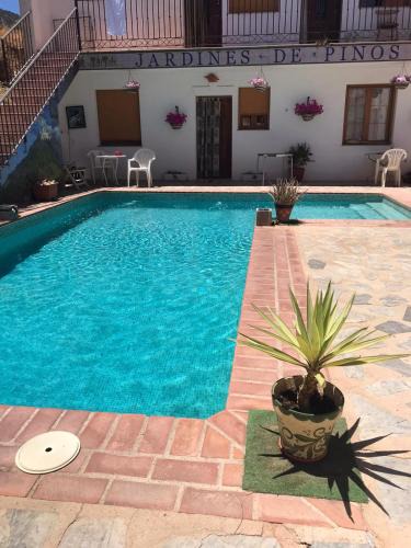 Pinos del Valle House | Casa San Sebastian