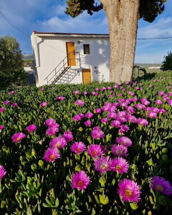 Illora Apartment | Casita of Casa Olivar
