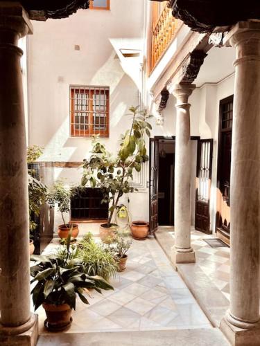 Albaicin Apartment | Charming Spacious Albayzin Apartment