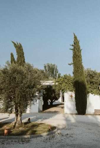 Granada Villa | Cortijo de Enmedio