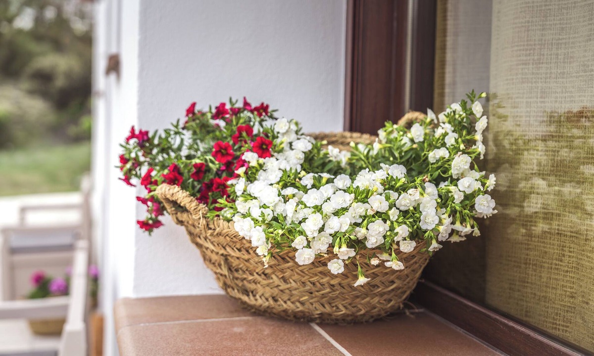 Huescar House | Cortijo La Paloma