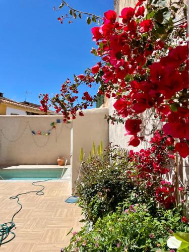 Durcal House | La Casa De Los Gatetes