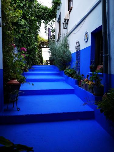Alhama de Granada House | La Seguiriya
