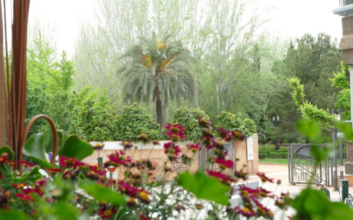 Figares Resort | Private room ∙ 1 guest