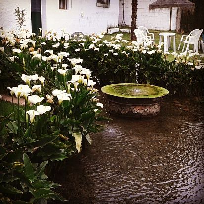 Padul Apartment | Rural apartment Los Molinos de Padul for 4 people