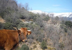 Casa Sierra Nevada