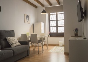 Monthly Rental available. New Apartment in Albayzin