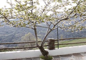Rural Accommodation El Romero for 6 people