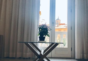 Spacious and modern Apartment with free parking in the heart of Granada 5