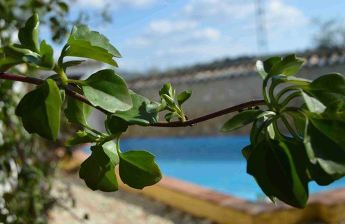 Algarinejo House | 100 m² House ∙ 3 bedrooms ∙ 6 guests