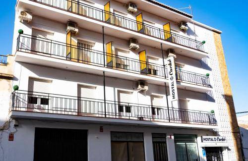Baza Bed & Breakfast | 12 m² Bed and breakfast ∙ 2 guests