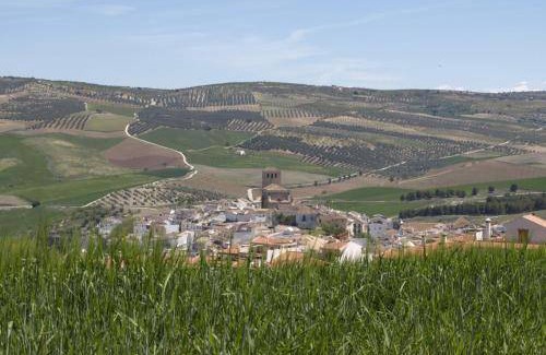 Alhama de Granada Bed & Breakfast | 36 m² Bed and breakfast ∙ 3 guests
