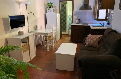 Albaicin Apartment | 38 m² Apartment ∙ 1 bedroom ∙ 2 guests
