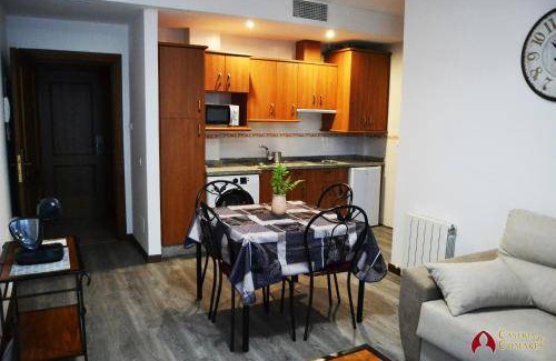 Zaidin Apartment | 40 m² Apartment ∙ 1 bedroom ∙ 3 guests