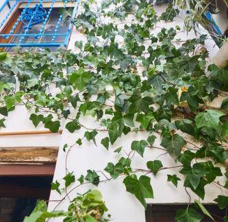 Albaicin Apartment | 45 m² Apartment ∙ 4 guests