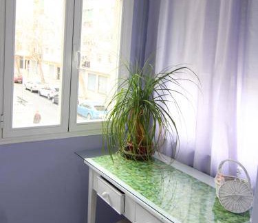 Zaidin Apartment | 50 m² Apartment ∙ 4 guests