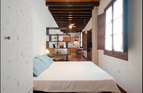 San Pedro Apartment | Apartamentos centro historico