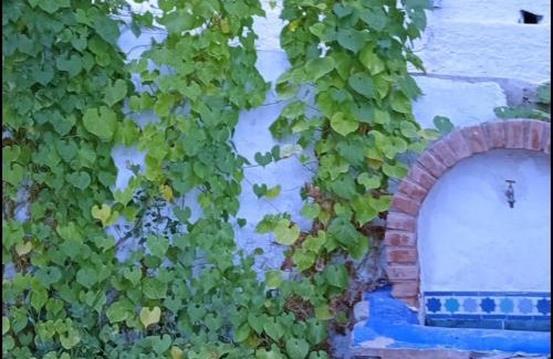 Orgiva House | Cortijo Rural Andalusí