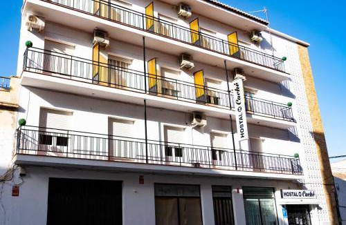 Baza Bed & Breakfast | 12 m² Bed and breakfast ∙ 2 guests