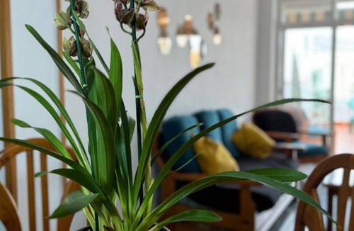 Castell de Ferro Apartment | 120 m² Apartment ∙ 3 bedrooms ∙ 7 guests