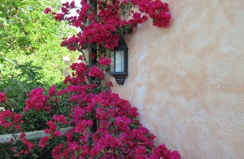Agustinos House | 35 m² House ∙ 1 bedroom ∙ 2 guests
