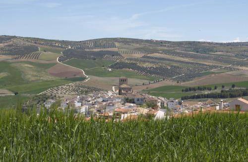 Alhama de Granada Bed & Breakfast | 36 m² Bed and breakfast ∙ 3 guests