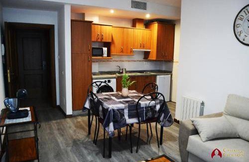 Zaidin Apartment | 40 m² Apartment ∙ 1 bedroom ∙ 3 guests