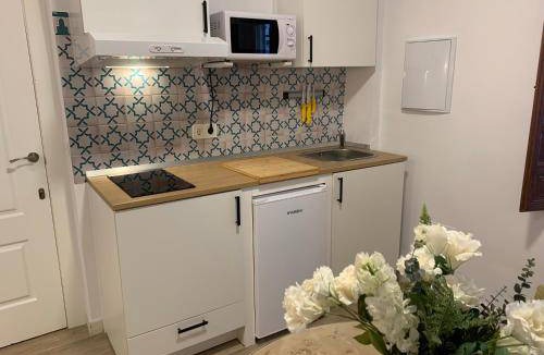 San Pedro Apartment | 40 m² Apartment ∙ 4 guests