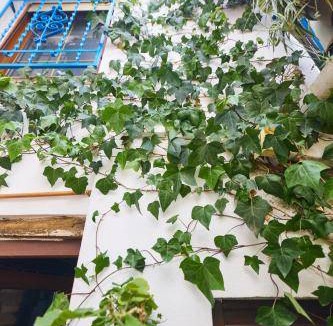 Albaicin Apartment | 45 m² Apartment ∙ 4 guests