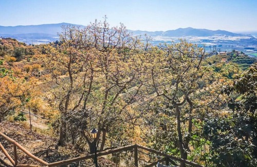 Motril House | 5 Bedroom Countryside House