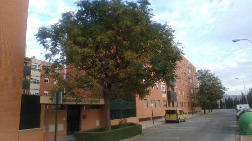 Norte Apartment | 69 m² Apartment ∙ 3 bedrooms ∙ 4 guests