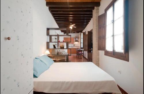 San Pedro Apartment | Apartamentos centro historico