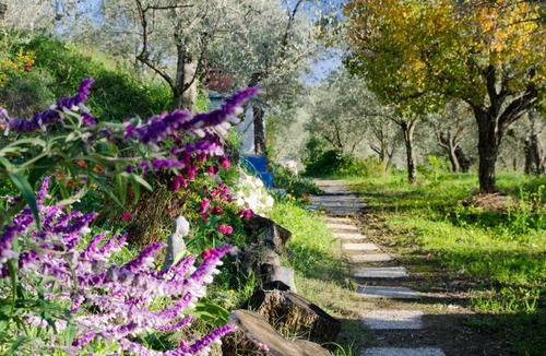 Lanjaron House | Armonia Alpujarra Eco Accommodation