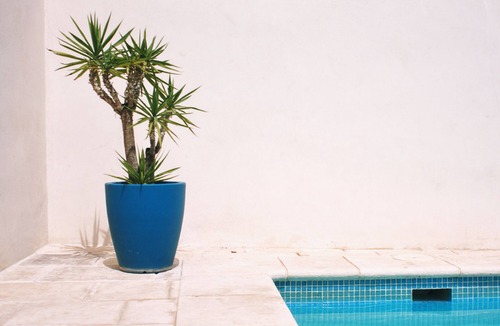 Velez de Benaudalla House | Beautiful Home with private pool in Velez de Benaudalla VTAR/GR/01894