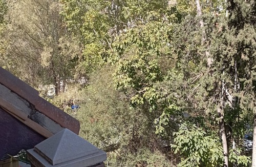 Monachil Apartment | Bonito Apartamento a Estrenar en Parque Natural de Sierra Nevada