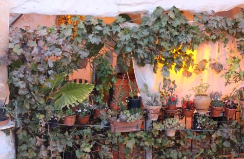 Atalbeitar House | Casa Violeta