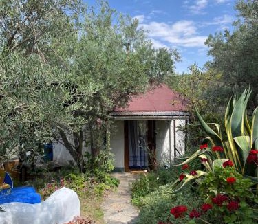 Lanjaron Other | Cortijo alhijra big yourte