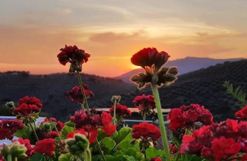 Algarinejo House | Cortijo Chaparro near iznajar