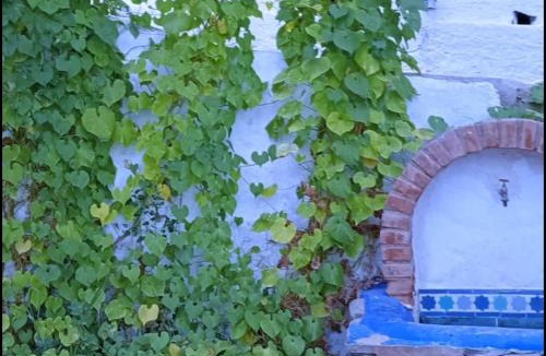 Orgiva House | Cortijo Rural Andalusí