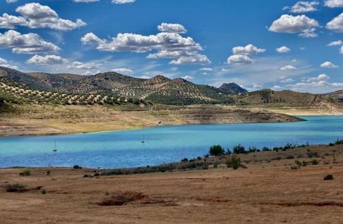 Fuentes de Cesna Ski Chalet | Dehesilla Olive Orchard Retreat